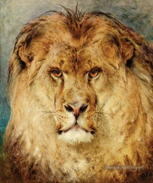 Une tête de Lion Heywood Hardy Peinture à l'huile